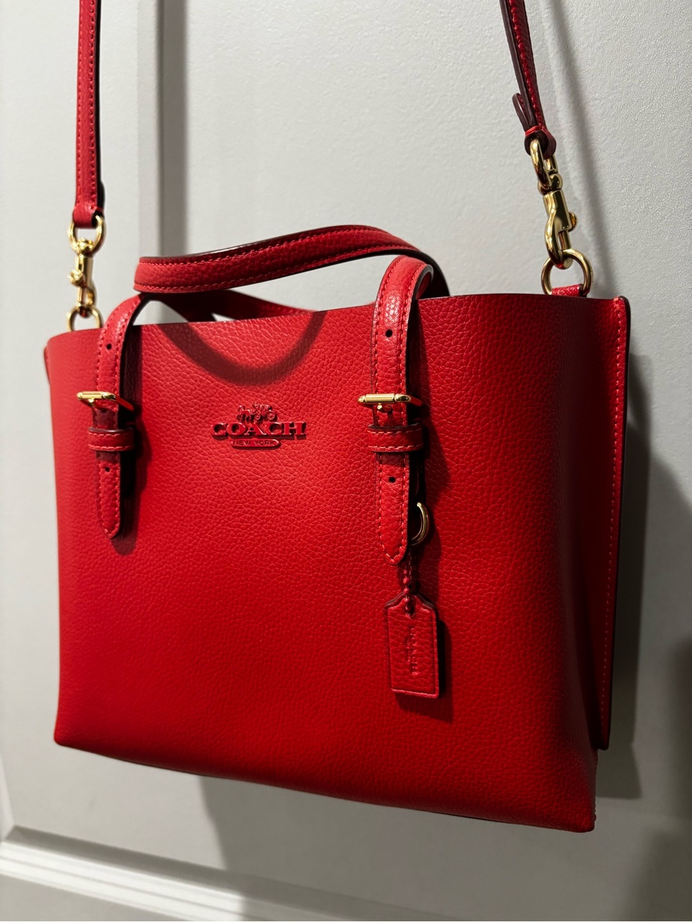Coach Mollie Tote Bag 25 &matching micro wallet